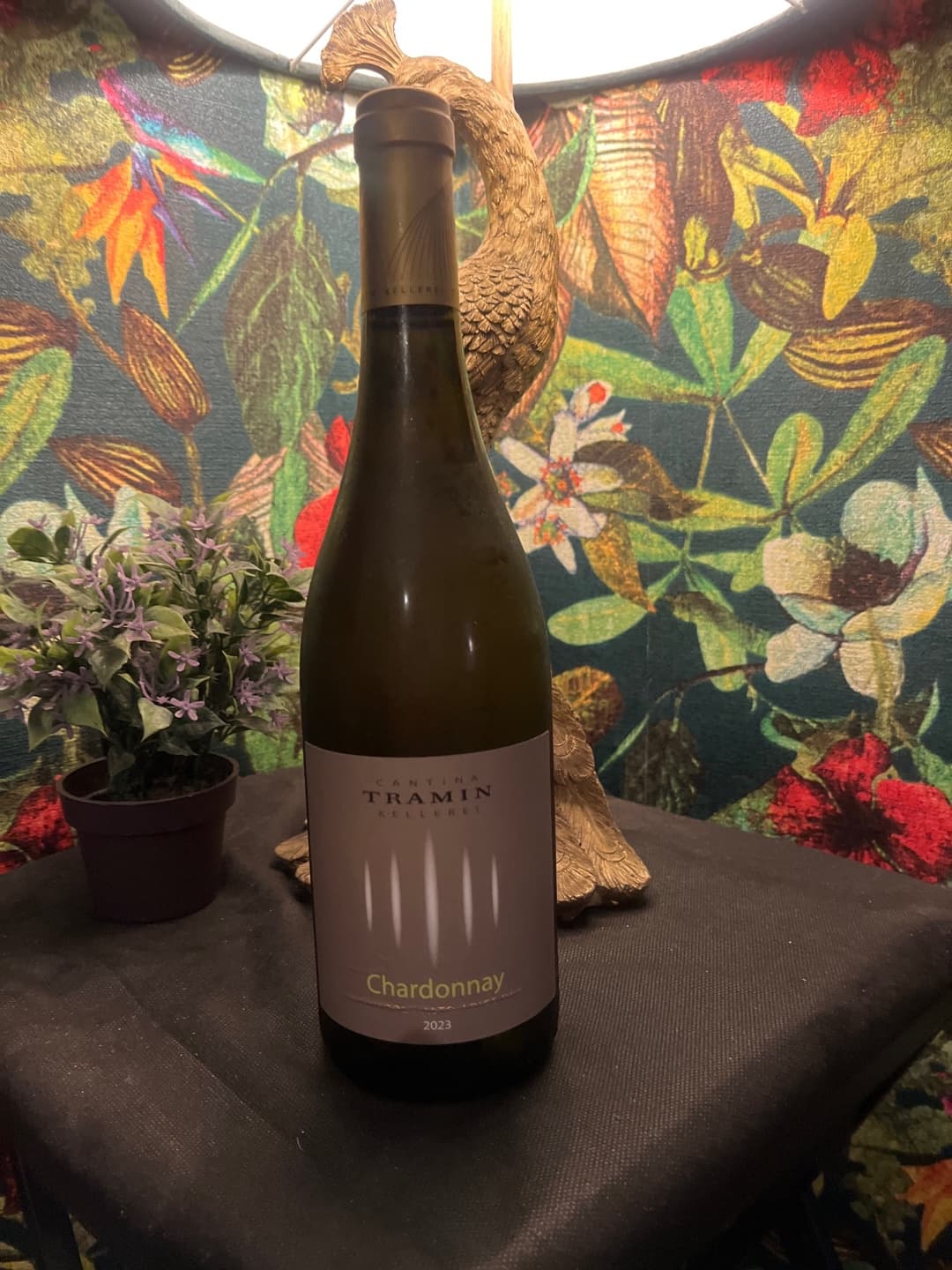 Tramin Sauvignon blanco